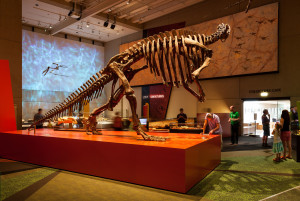 Queensland Museum, Lost Creatures, Trackway - Mental Media